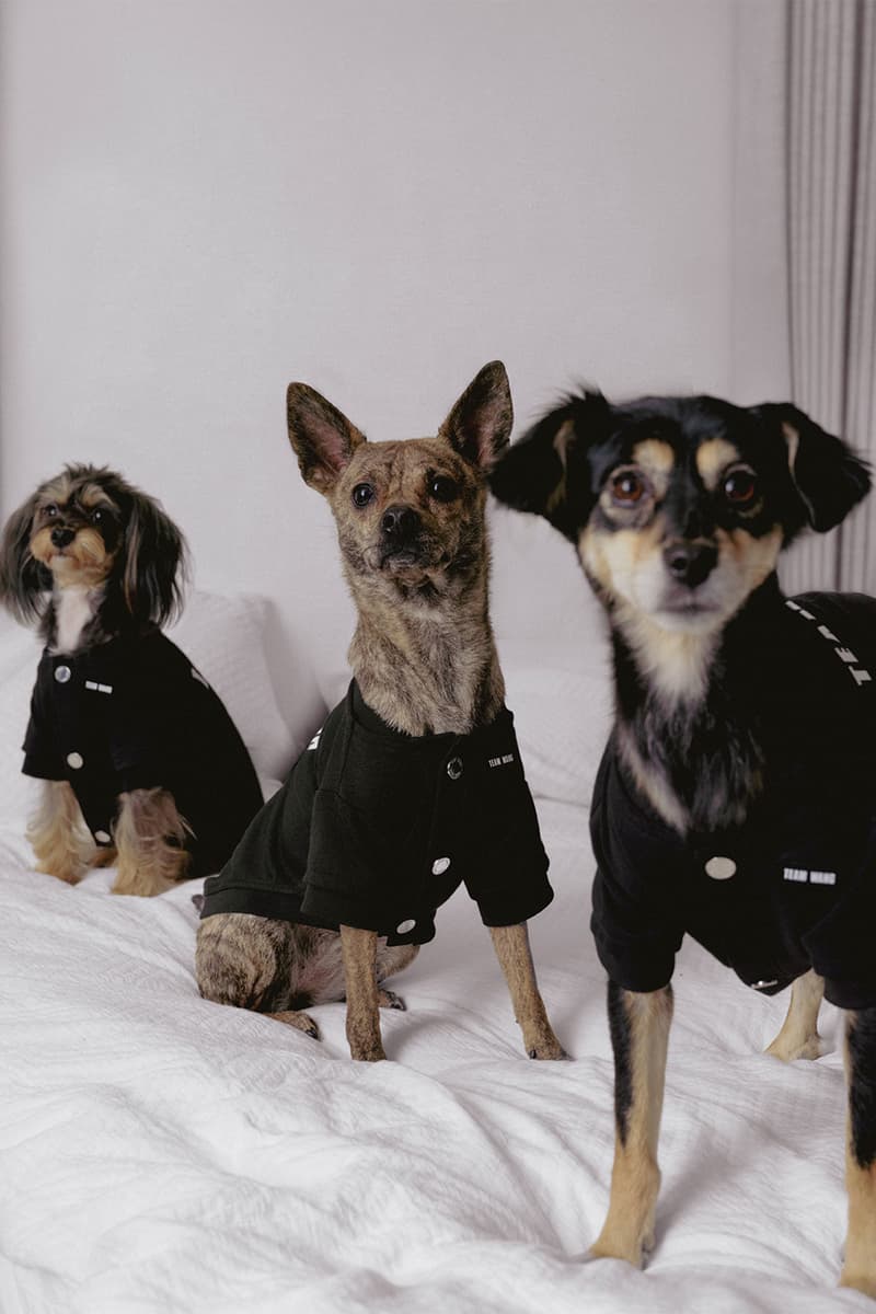 Jackson Wang TEAM WANG design "FRIENDS" Pets Lifestyle Sub-series Release Info