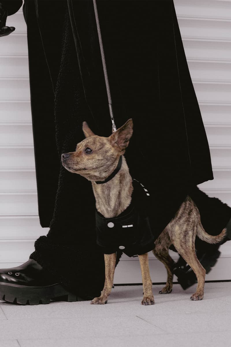 Jackson Wang TEAM WANG design "FRIENDS" Pets Lifestyle Sub-series Release Info