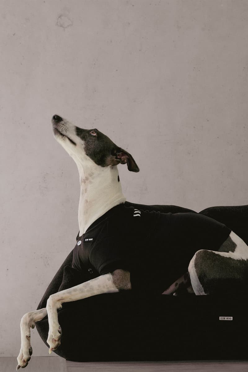 Jackson Wang TEAM WANG design "FRIENDS" Pets Lifestyle Sub-series Release Info
