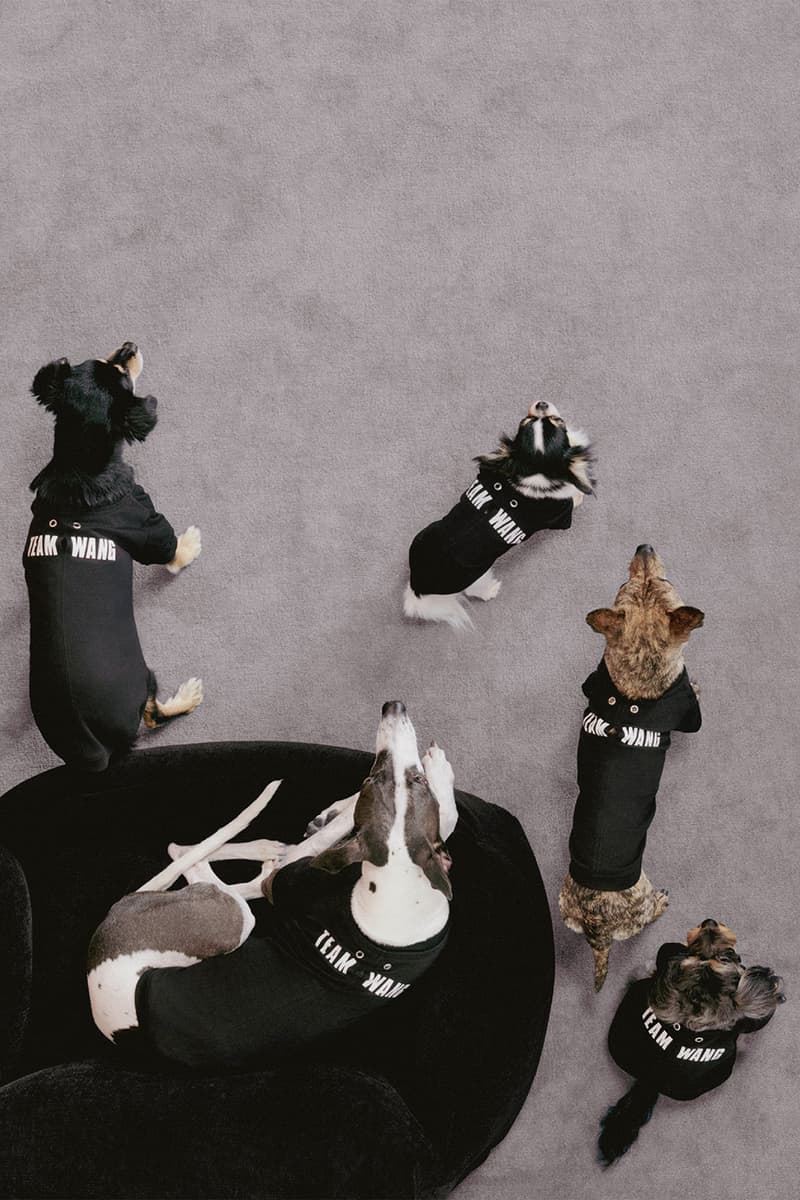 Jackson Wang TEAM WANG design "FRIENDS" Pets Lifestyle Sub-series Release Info