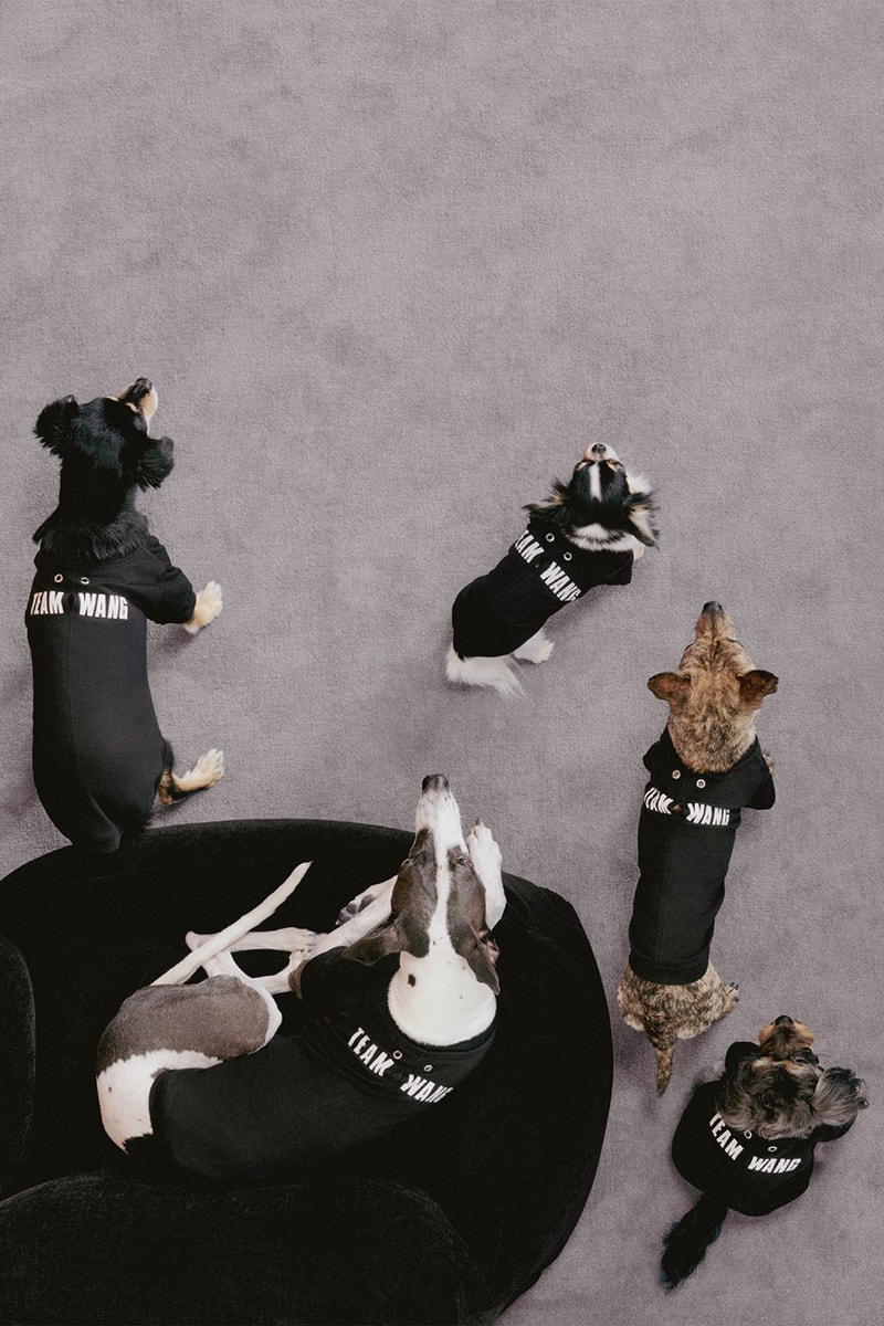 Jackson Wang TEAM WANG design "FRIENDS" Pets Lifestyle Sub-series Release Info
