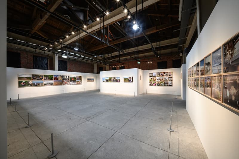 'All Within the Detour' Yoshitomo Nara Photography Exhibition Taipei Huashan 1914 Creative Park Info 