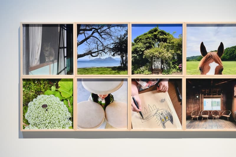 'All Within the Detour' Yoshitomo Nara Photography Exhibition Taipei Huashan 1914 Creative Park Info 