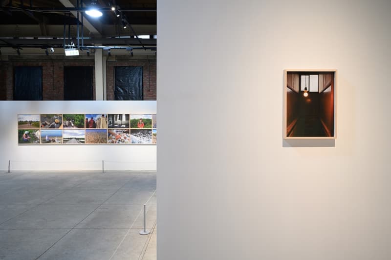 'All Within the Detour' Yoshitomo Nara Photography Exhibition Taipei Huashan 1914 Creative Park Info 