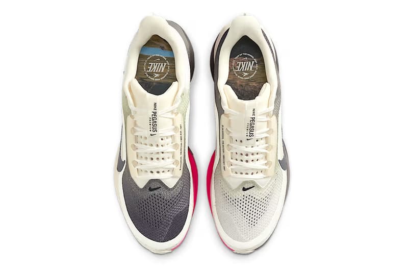 Nike Pegasus Premium "Year of the Horse" IQ1130-001 Release Info