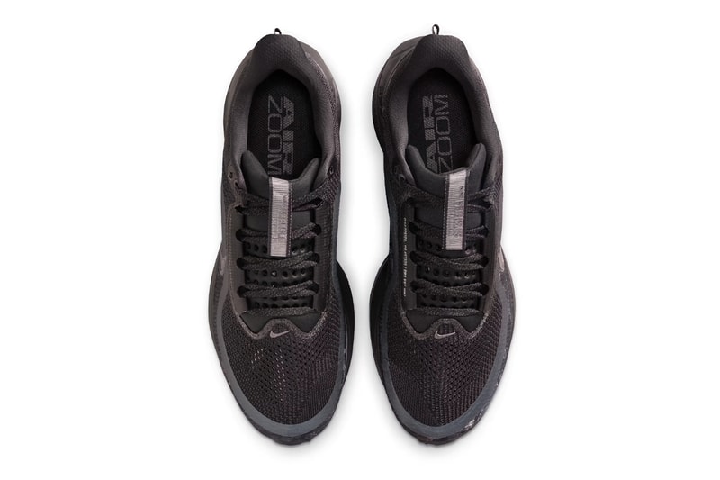 Official Look at the Nike Pegasus Premium "Realtree" Off Noir/Black-Iron Grey-Metallic Dark Grey release info IF9630-001
