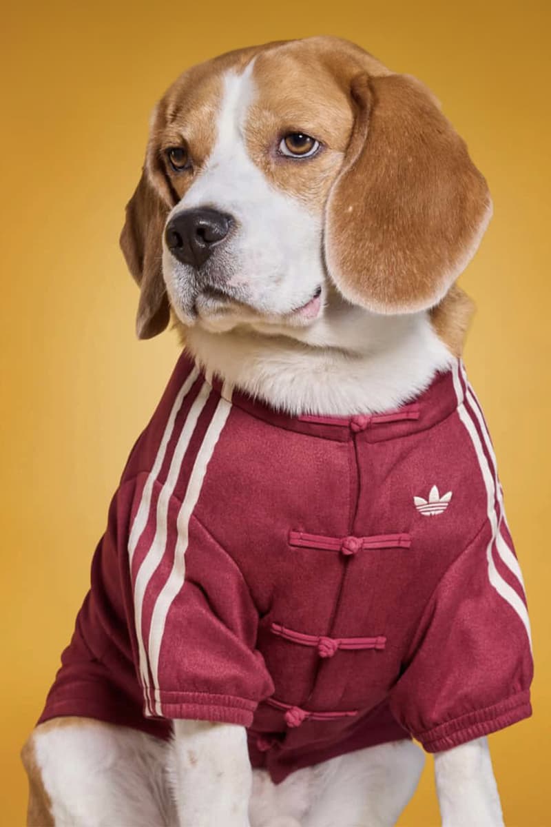 adidas Pets Chinese Track Jackets Release Info