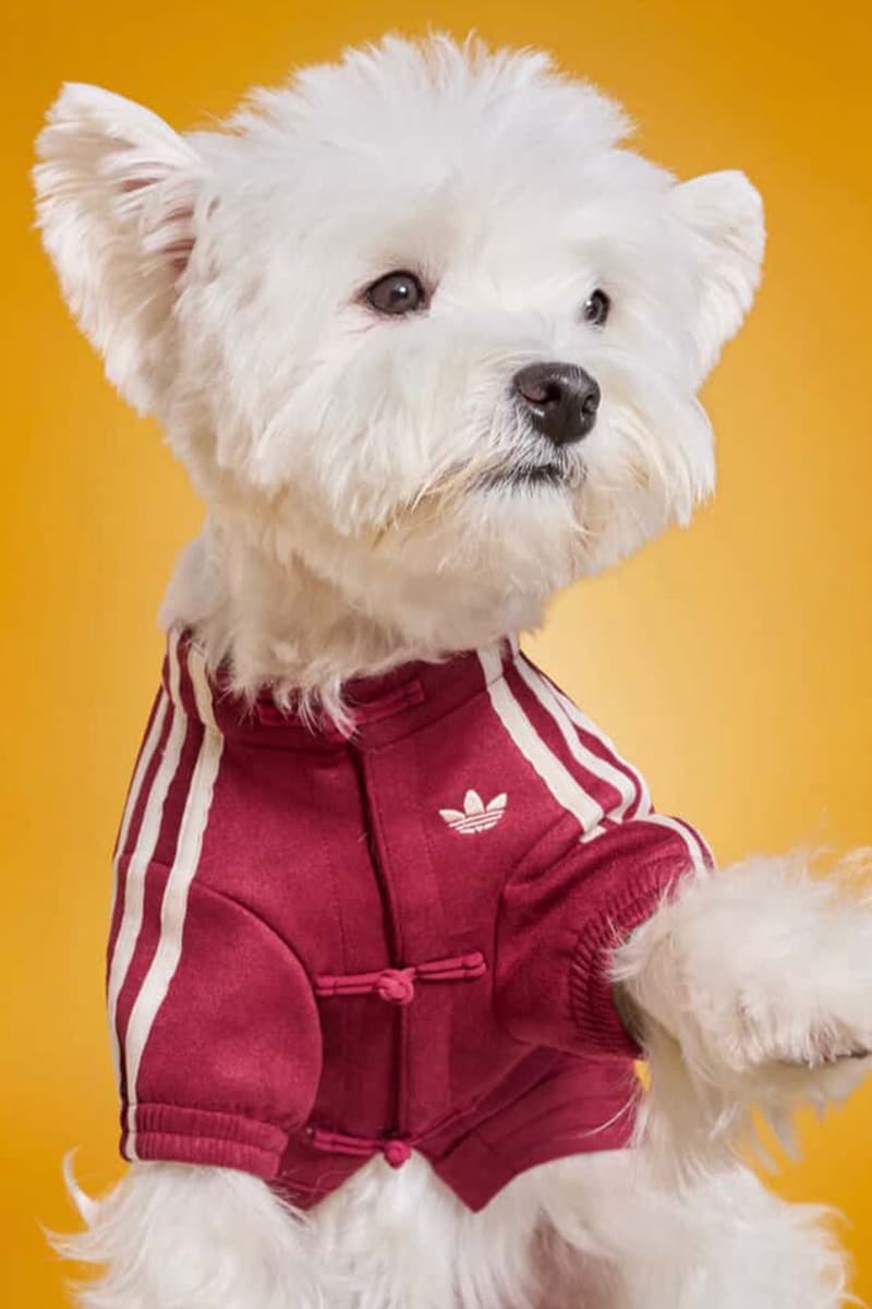 adidas Pets Chinese Track Jackets Release Info