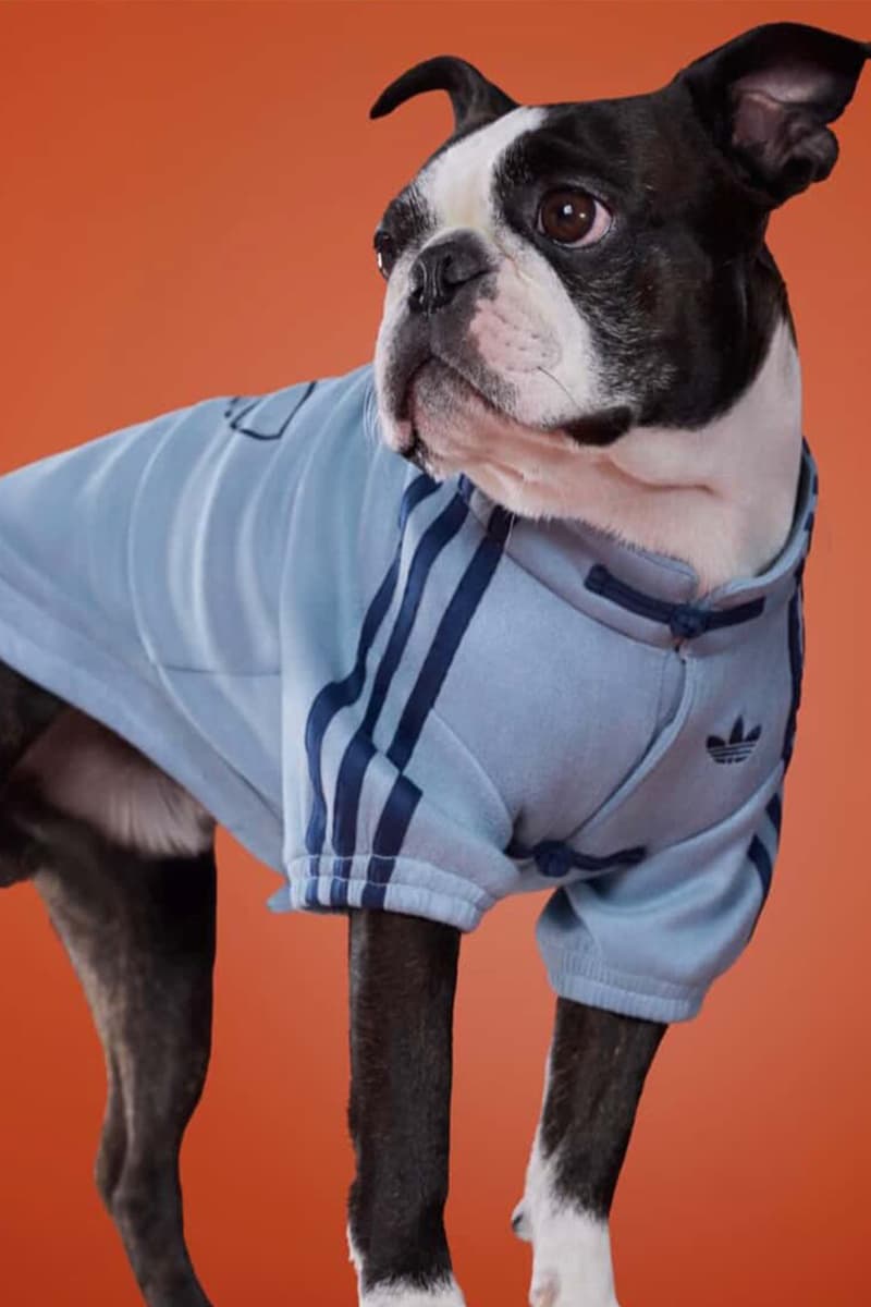 adidas Pets Chinese Track Jackets Release Info