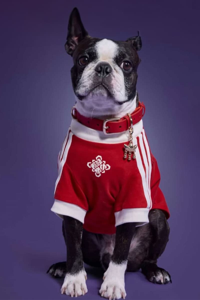 adidas Pets Chinese Track Jackets Release Info