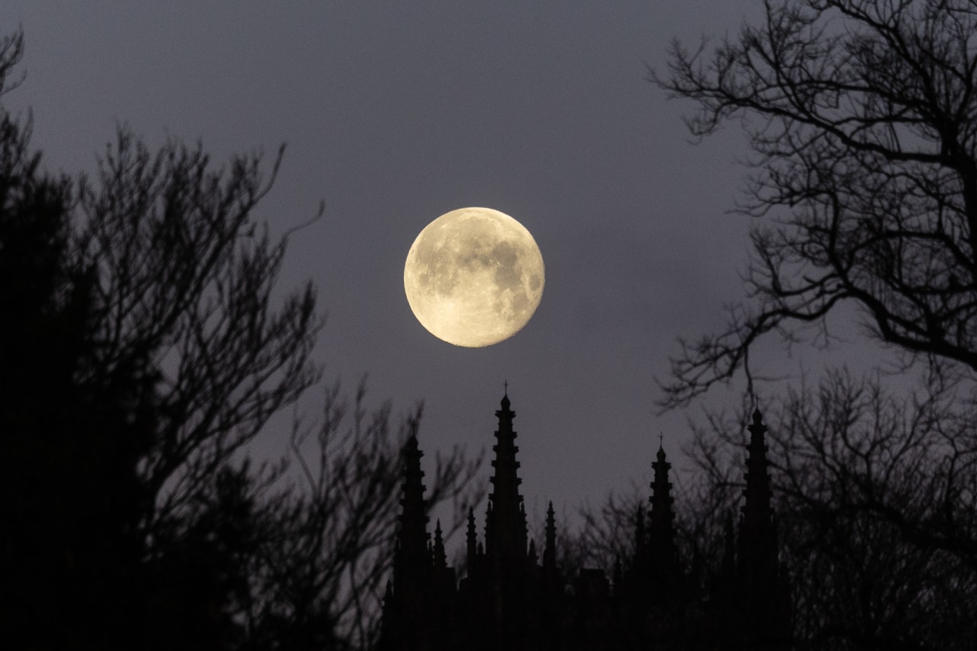 Visualization of China’s LTE440 lunar timekeeping software synchronising Moon and Earth clocks for future missions