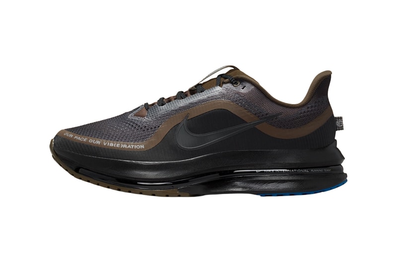 Nike Pegasus Premium Our Pace Our Vib(e)bration Dark Hazelnut Off Noir Iron Ore Black U991GC2 Official Images