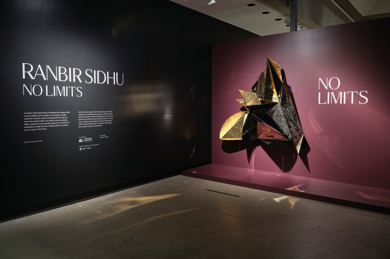 Ranbir Sidhu No Limits Art Gallery of Ontario Artworks Toronto