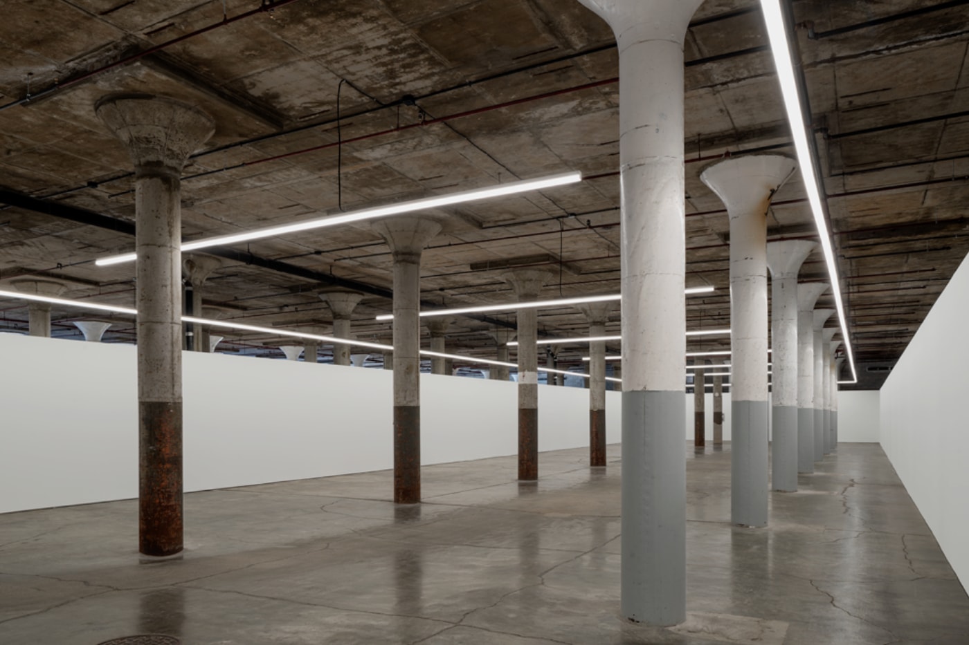 ‘Teching Hsieh: Lifeworks1978–1999’ Dia Beacon retrospective sxhibition New York 