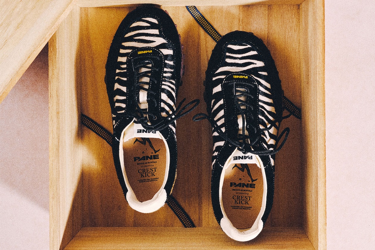 Pane: From a Viral GAT to a Way of Living chen ning footwear german army trainer gat light training no-gi interview release date store list