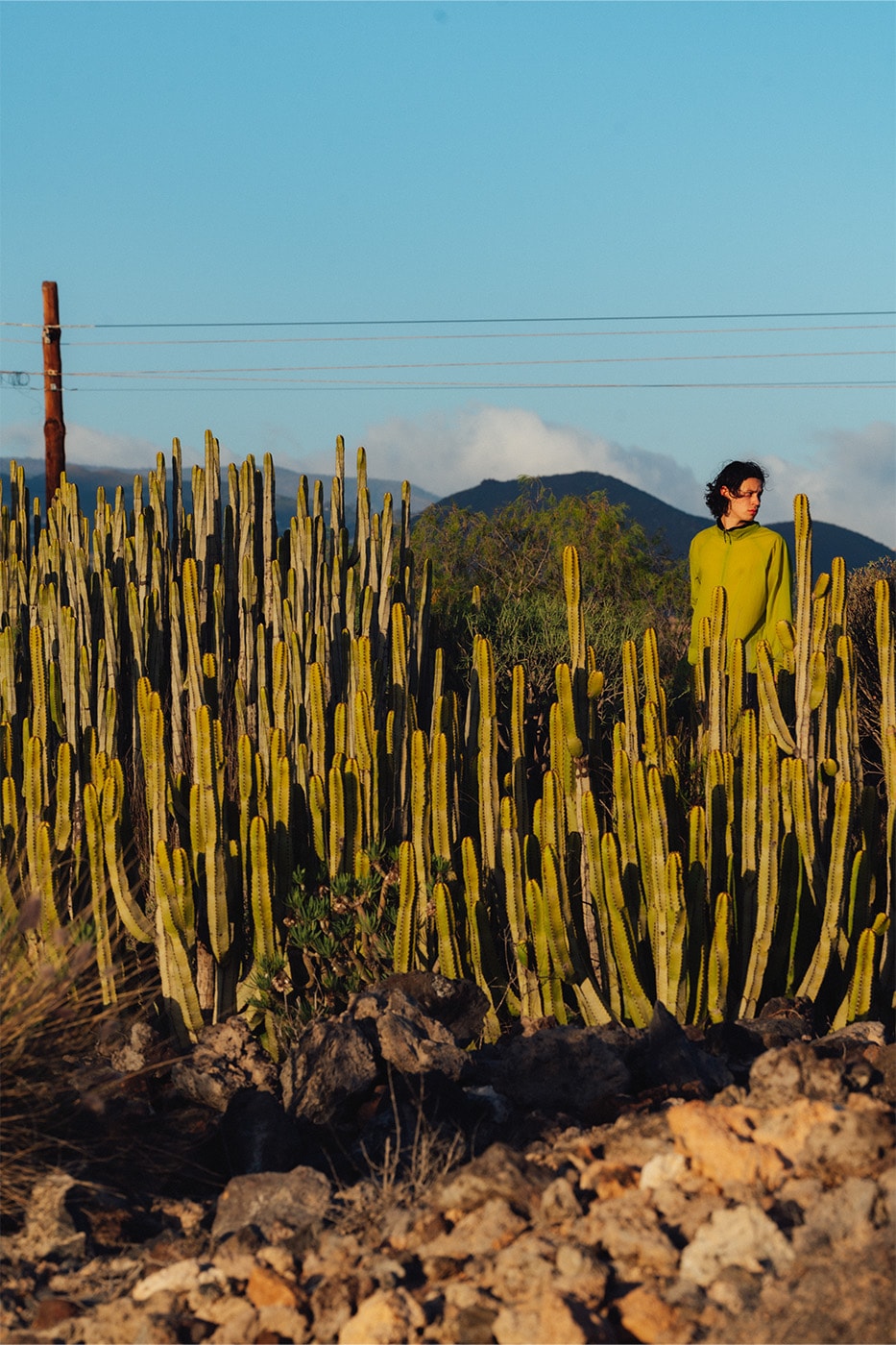 Gramicci spring summer ss 2026 Collection Release Info