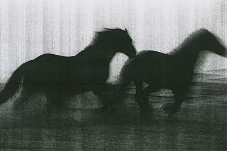 ‘Hard Copy’ Gives the Humble Photocopier Its Due