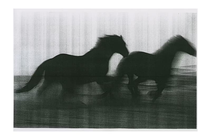 Aaron Stern's 'Hard Copy' at International Center of Photography New York  Art Artworks