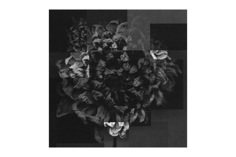 Aaron Stern's 'Hard Copy' at International Center of Photography New York  Art Artworks