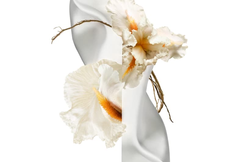 Hermès Hermessence Musc Pallida Fragrance Release Info Christine Nagel