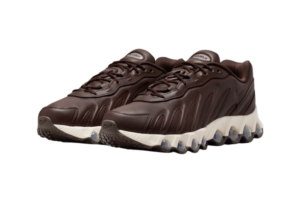 Nike Air Max Dn Baroque Brown Sail II7058-200 Release Info
