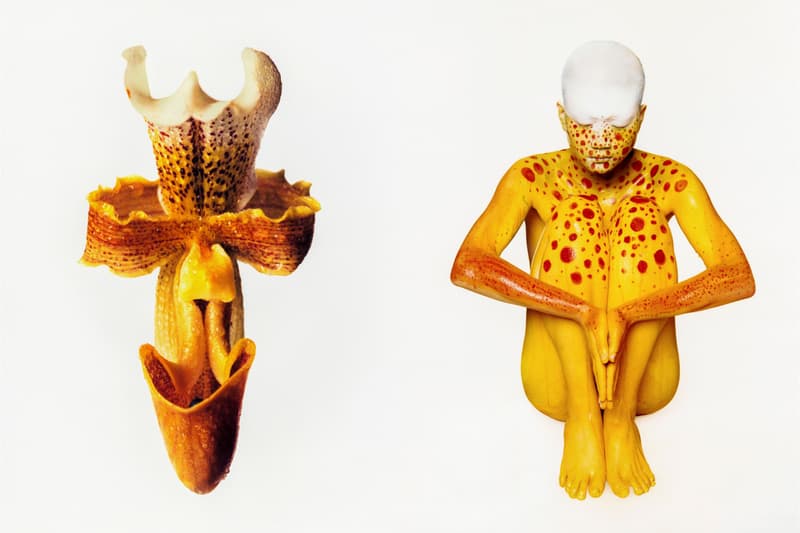 Cho Gi-Seok 'The Coexistence of Imperfection' Fotografiska Shanghai Art Artworks