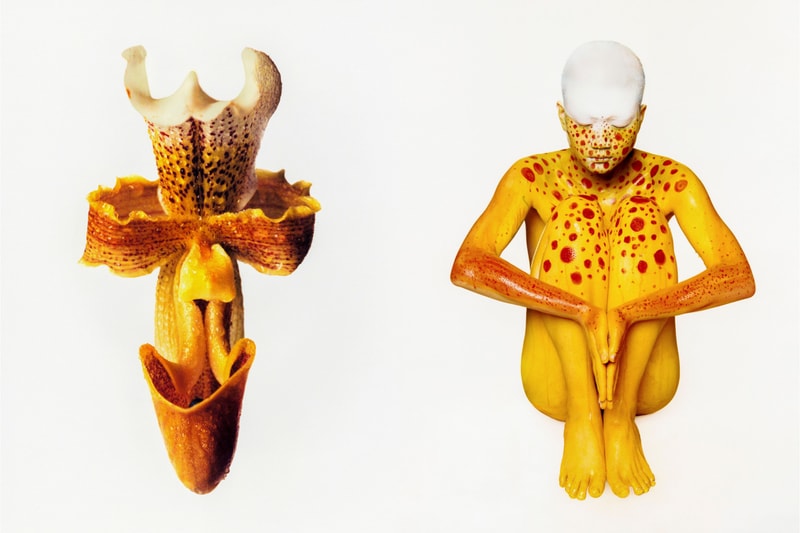 Cho Gi-Seok 'The Coexistence of Imperfection' Fotografiska Shanghai Art Artworks