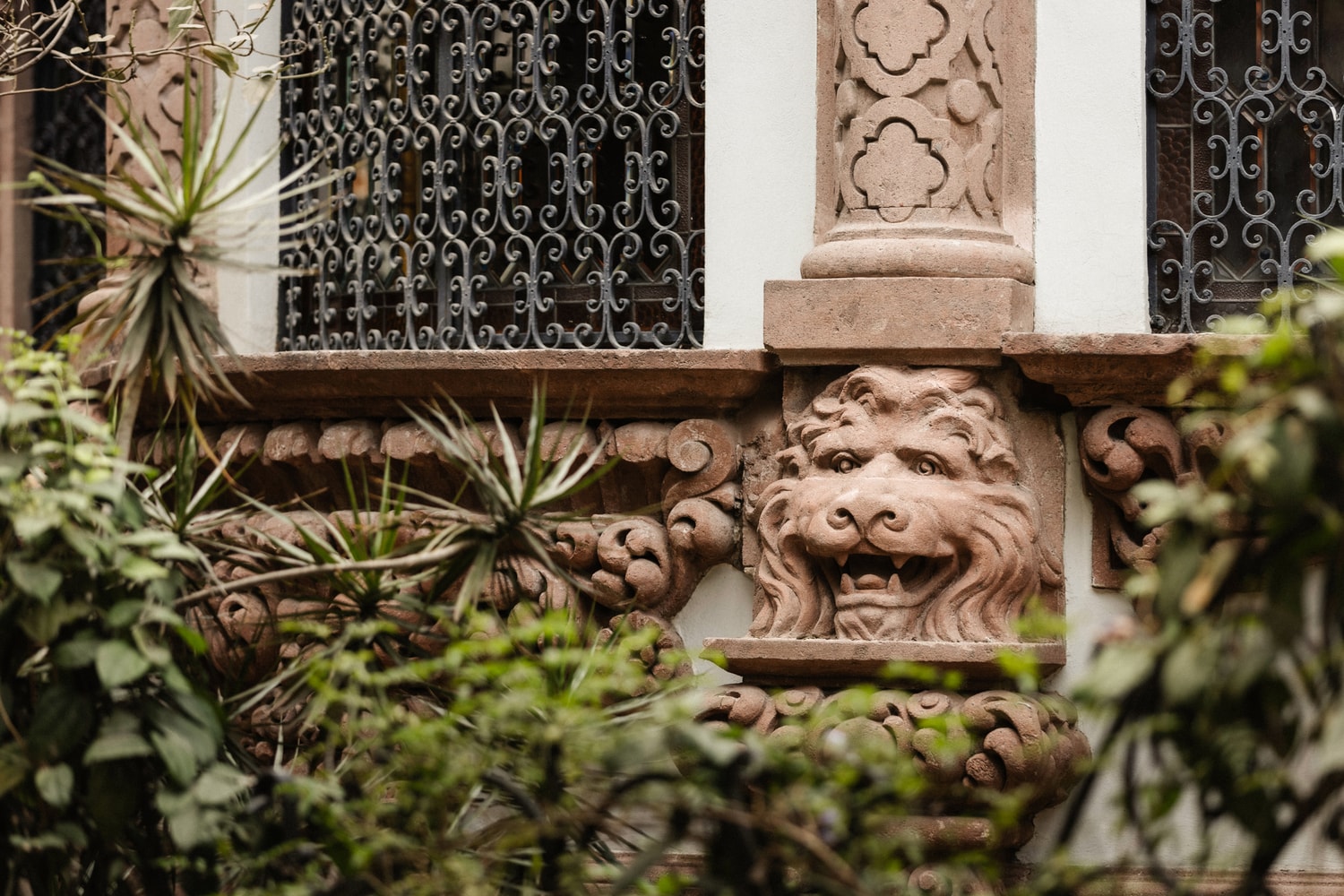 Clase Azul Mexico, Casa de Los Leones, cdmx, mexico city, amador montes, installation, artworks, art
