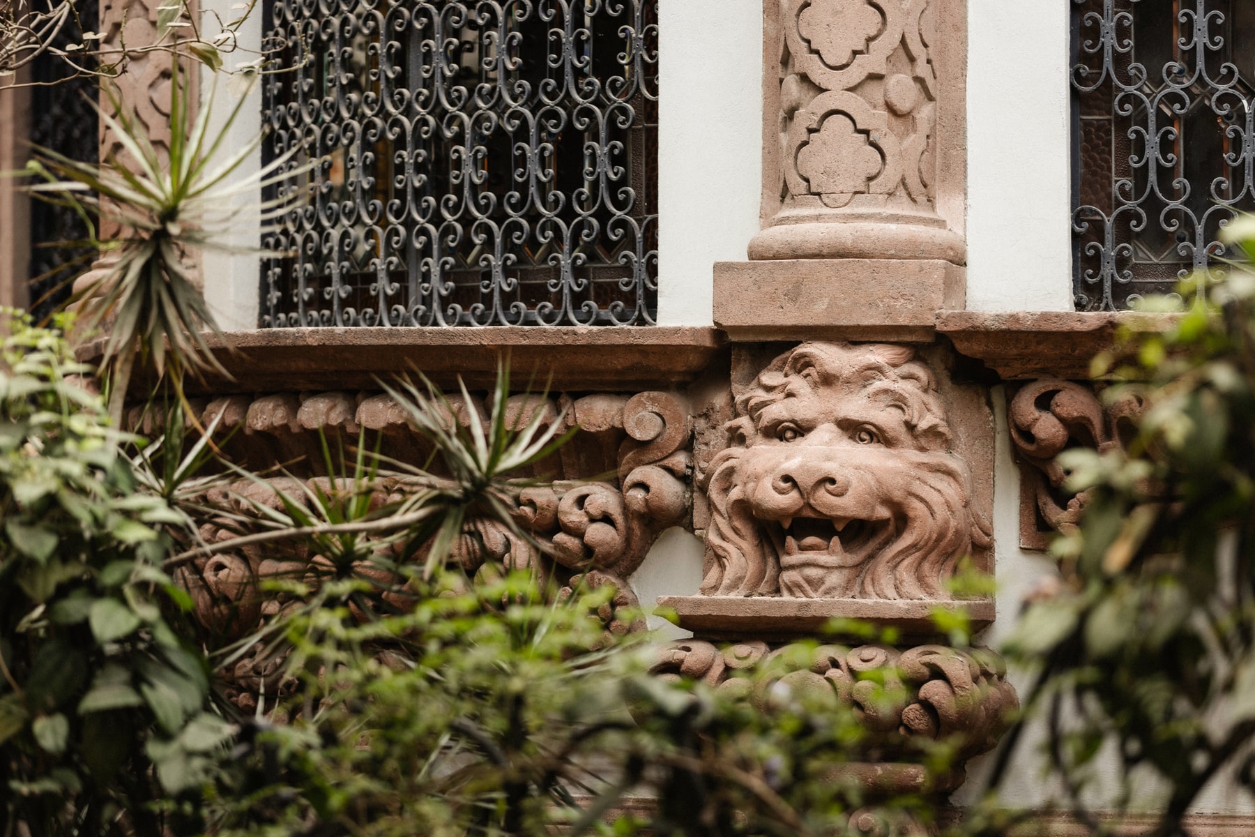 Clase Azul Mexico, Casa de Los Leones, cdmx, mexico city, amador montes, installation, artworks, art