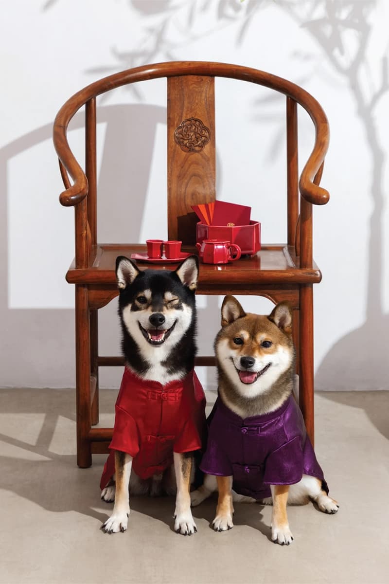 CLOT Lunar New Year Pet Collection Year of the Horse Release Info