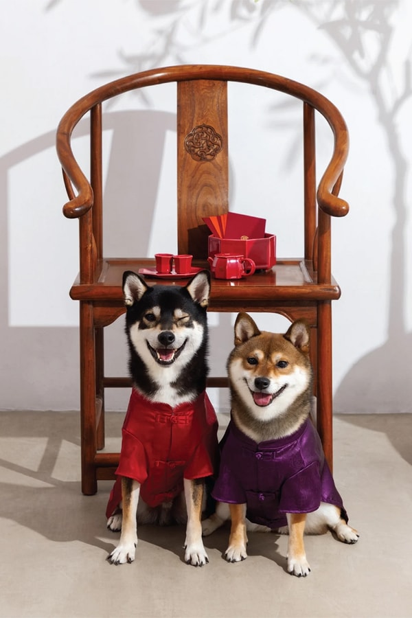 CLOT Lunar New Year Pet Collection Year of the Horse Release Info