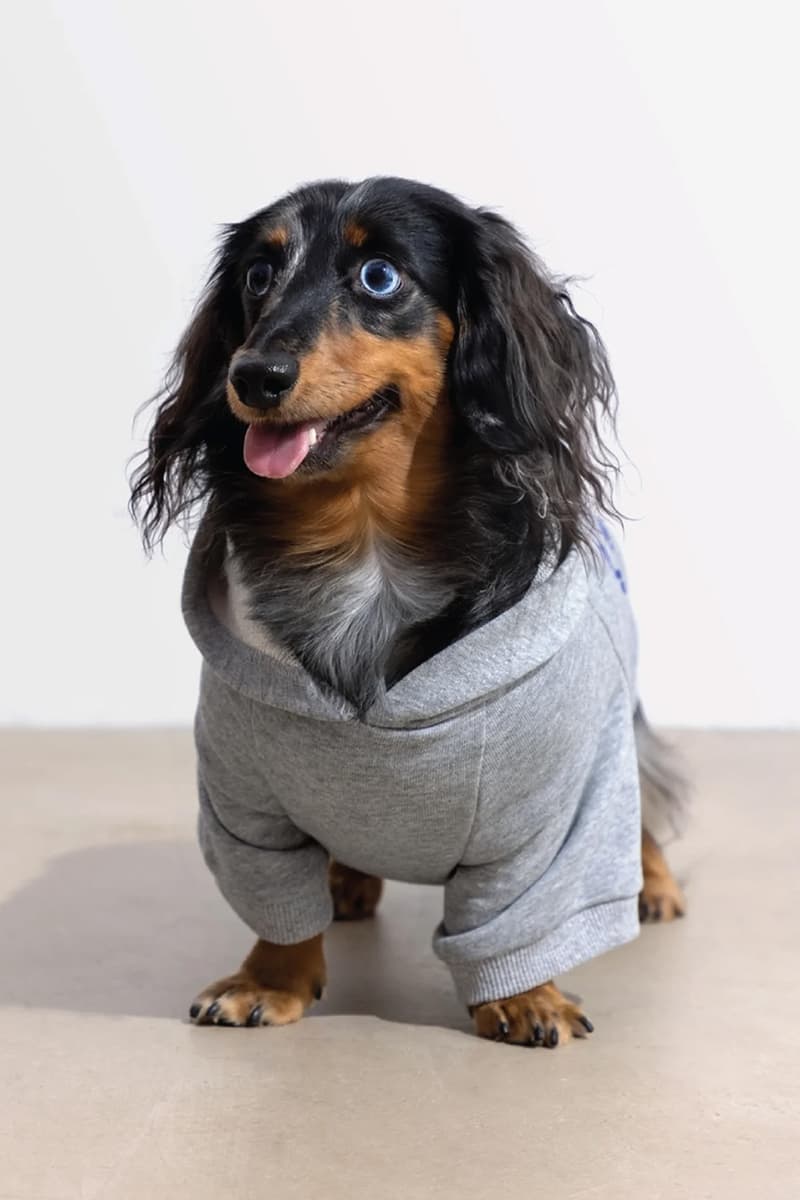 CLOT Lunar New Year Pet Collection Year of the Horse Release Info