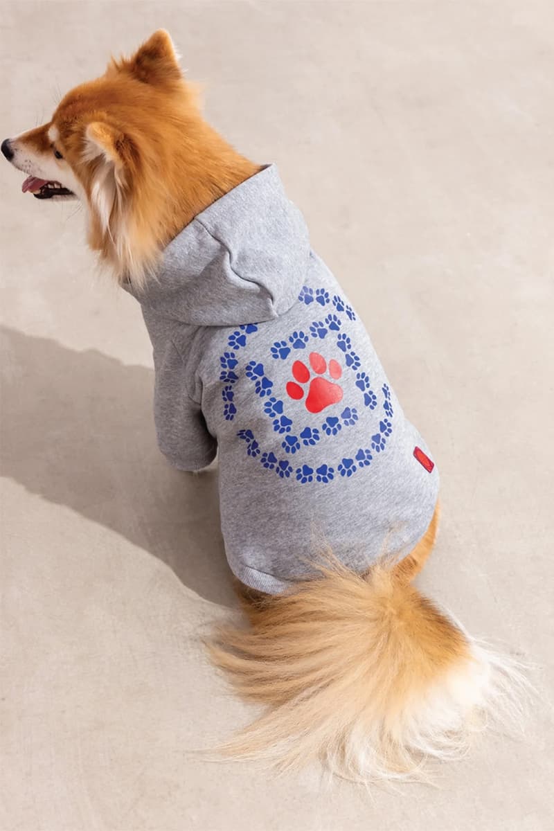 CLOT Lunar New Year Pet Collection Year of the Horse Release Info