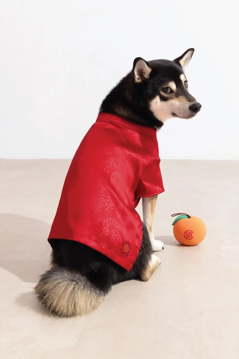 CLOT Lunar New Year Pet Collection Year of the Horse Release Info