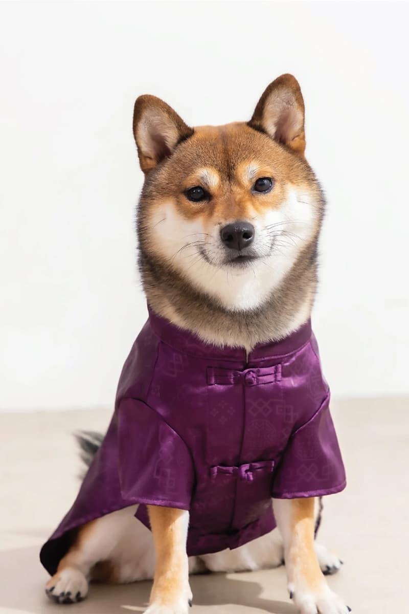 CLOT Lunar New Year Pet Collection Year of the Horse Release Info