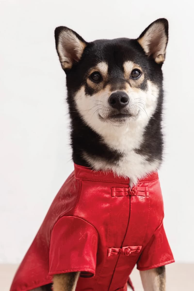 CLOT Lunar New Year Pet Collection Year of the Horse Release Info