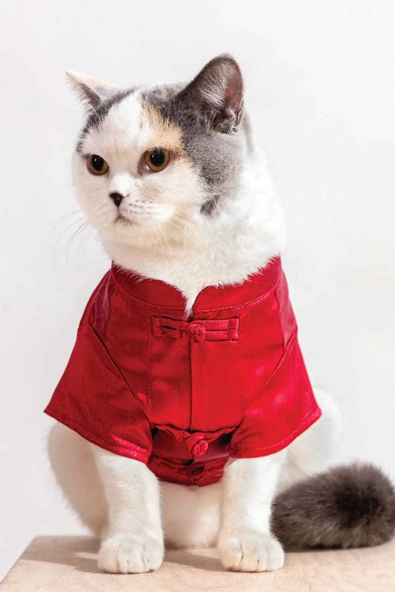 CLOT Lunar New Year Pet Collection Year of the Horse Release Info