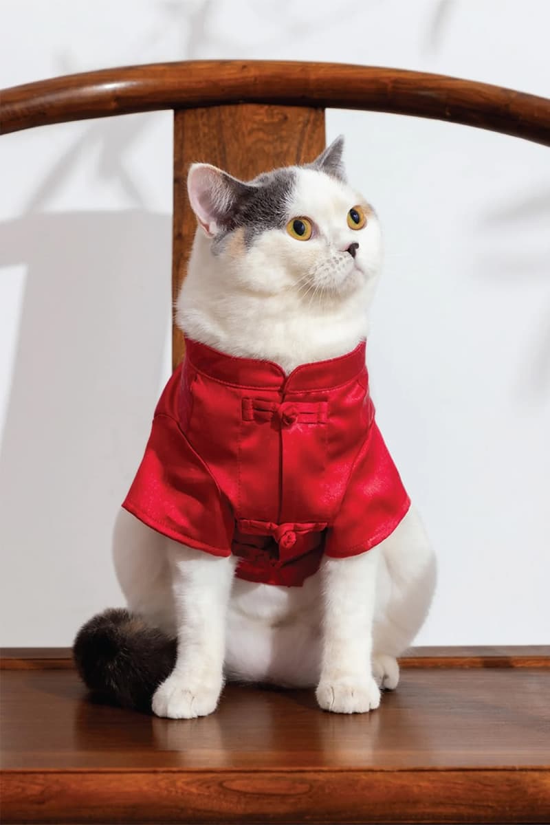 CLOT Lunar New Year Pet Collection Year of the Horse Release Info