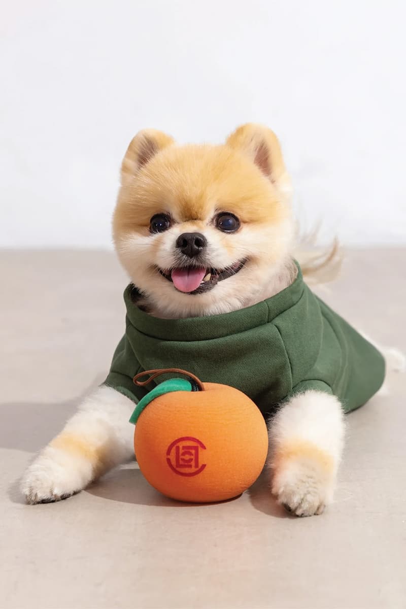 CLOT Lunar New Year Pet Collection Year of the Horse Release Info