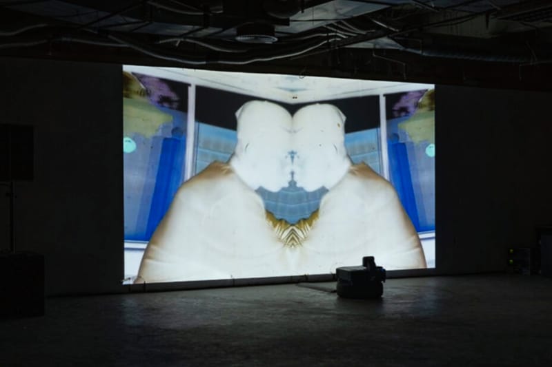 Transmediale Returns To Berlin, 'Re-wiring' A Web that Extends Globally