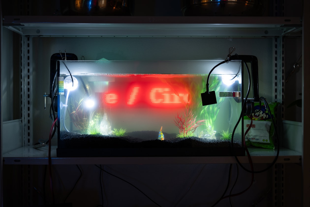 Transmediale Festival Berlin 2026 Art Artworks