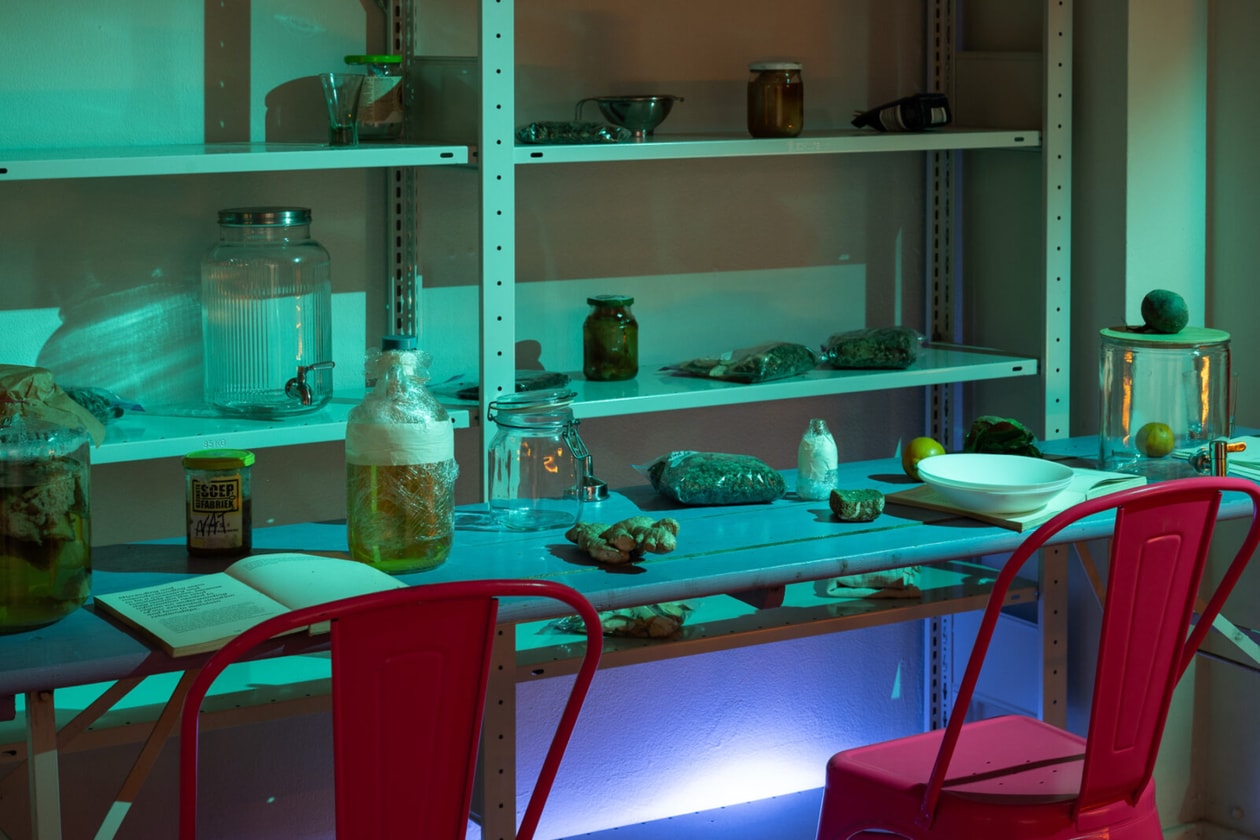 Festival Transmedia Berlín 2026 Obras de arte