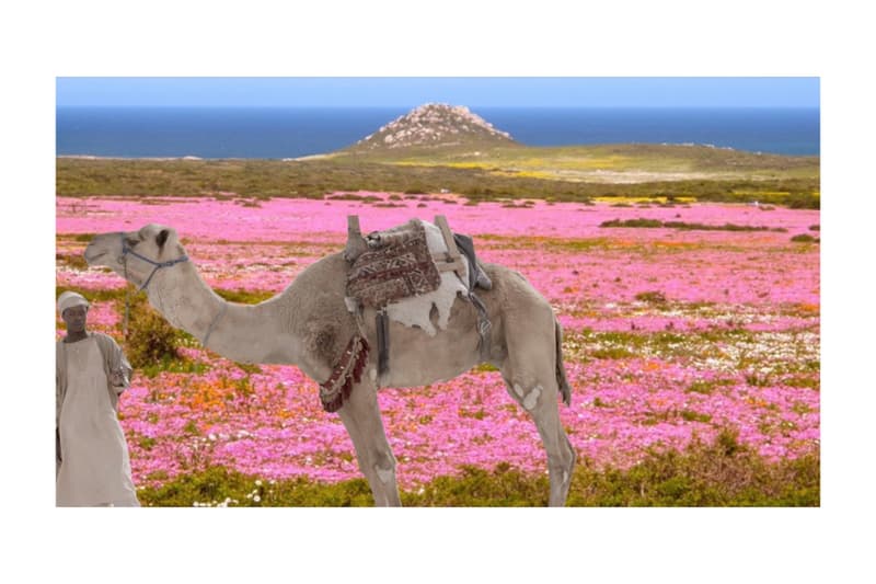 New Museum 'New Humans: Memories of the Future' Exhibition