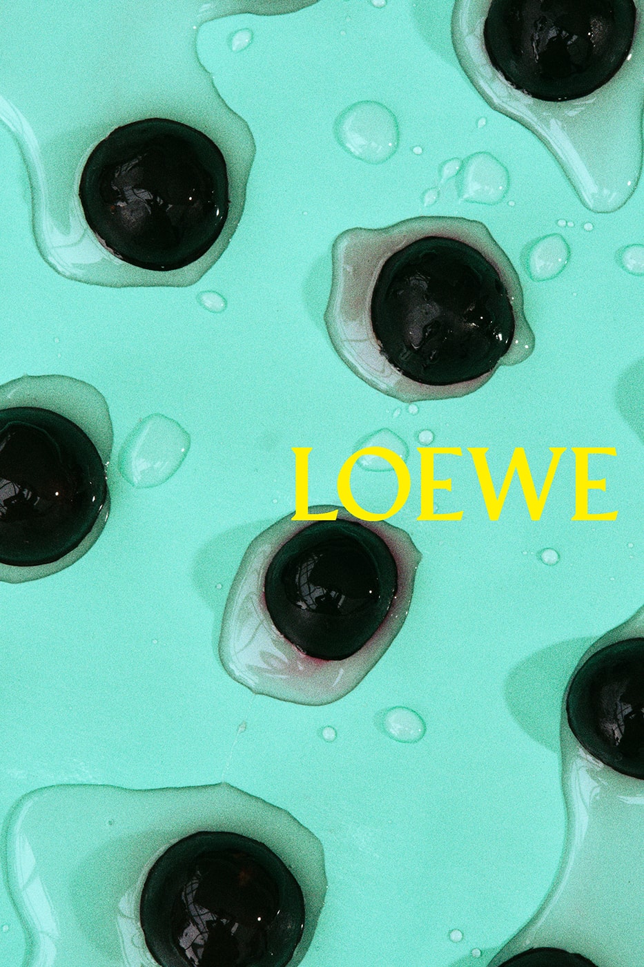 Jack McCollough and Lazaro Hernandez Unveil Their First LOEWE Campaign for Spring/Summer 2026 ss26 jonathan anderson succeeding luxury lvmh