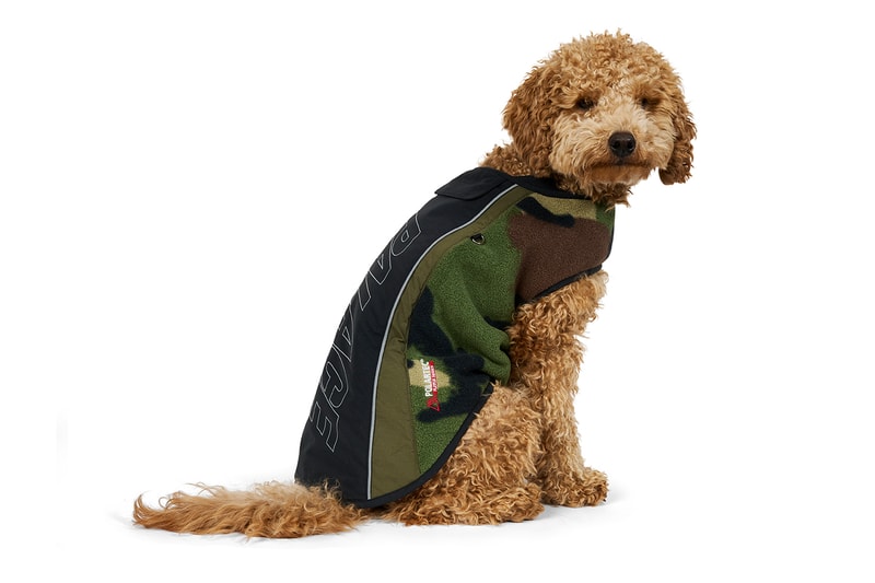Everything Dropping at Palace This Week spring 2026 drop 4 dog clothes