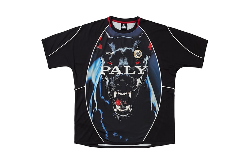 Everything Dropping at Palace This Week spring 2026 drop 4 dog clothes