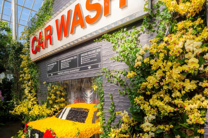 ‘The Orchid Show: Mr. Flower Fantastic’s Concrete Jungle’ New York Botanical Garden Info