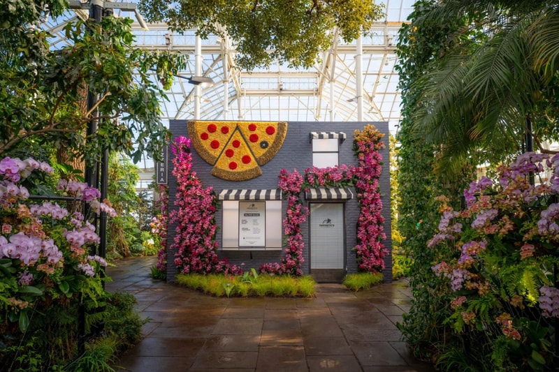 ‘The Orchid Show: Mr. Flower Fantastic’s Concrete Jungle’ New York Botanical Garden Info