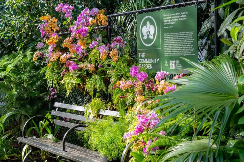 ‘The Orchid Show: Mr. Flower Fantastic’s Concrete Jungle’ New York Botanical Garden Info