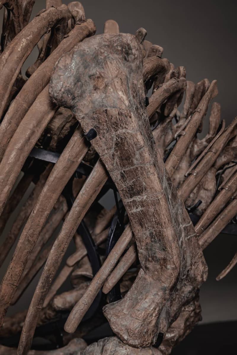  JOOPITER Triceratops Skeleton trey Auction Announcement Info